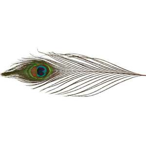 Spirit River UV2 Peacock Herl