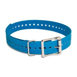 SportDOG 1in Collar Strap - Blue