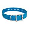 SportDOG 1in Collar Strap - Blue - Blue