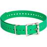 SportDOG 1in Collar Strap - Green - Green