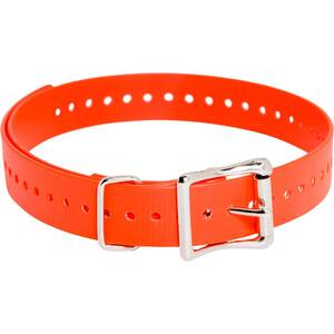 SportDOG 1in Collar Strap - Orange