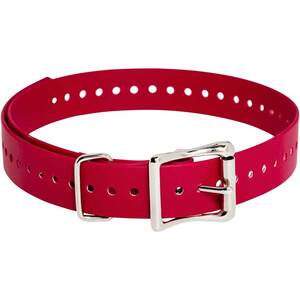 SportDOG 1in Collar Strap - Red