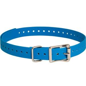 SportDOG 3/4in Collar Strap - Blue