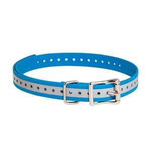 SportDOG 3/4in Collar Strap - Blue Reflective