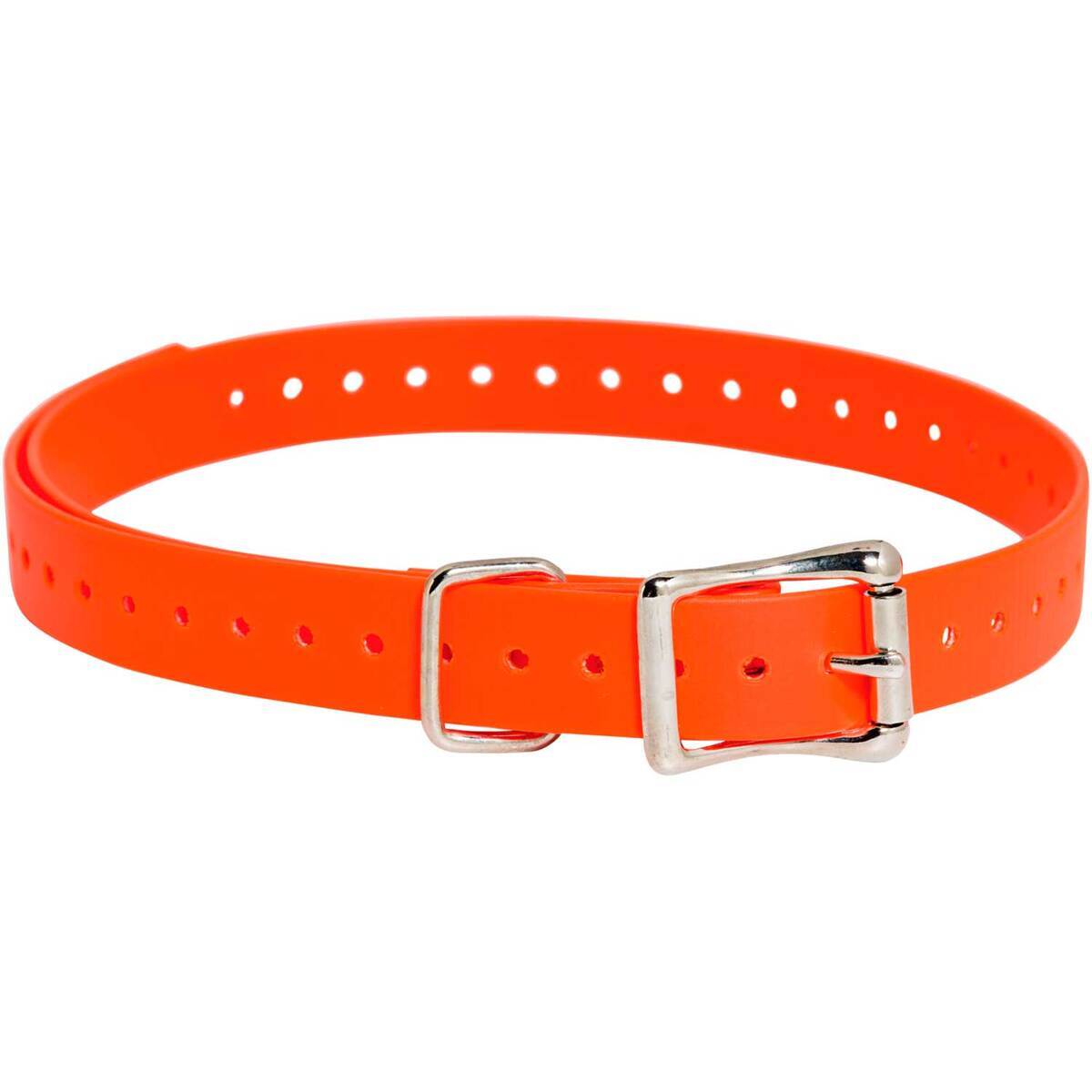 SportDOG 3/4in Collar Strap - Orange SportDOG 3/4in Collar Strap - Orange