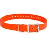 SportDOG 3/4in Collar Strap - Orange