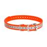 SportDOG 3/4in Collar Strap - Orange Reflective - Orange