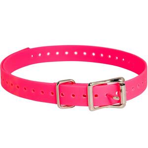 SportDOG 3/4in Collar Strap - Pink