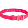 SportDOG 3/4in Collar Strap - Pink - Pink