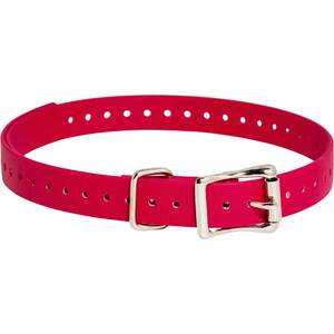 SportDOG 3/4in Collar Strap - Red