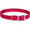 SportDOG 3/4in Collar Strap - Red - Red
