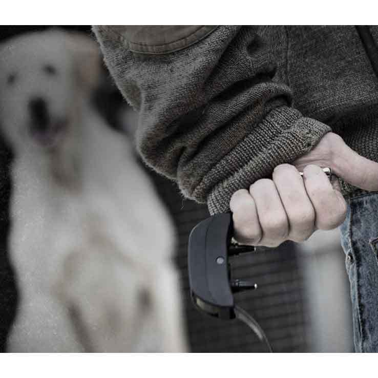 SportDOG Add-A-Dog Receiver SportDOG Add-A-Dog Receiver