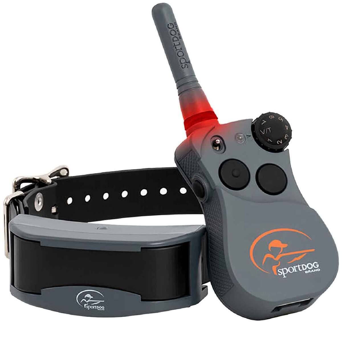 A closer look at Training Collars With Treats