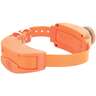 SportDOG SDR-AB UplandHunter 1875 Add-A-Dog Electronic Collar - Orange - Orange 5-22in