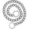SportDOG Training Chain Collar - Silver Medium/Large