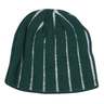 Sportsman's Warehouse Men's Logo Stripe Beanie - Green - Green One Size Fits Most
