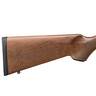 Springfield Armory Model 2020 Rimfire Classic Matte Blued/Satin Walnut Bolt Action Rifle - 22 Long Rifle - 20in - Brown