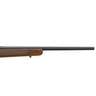 Springfield Armory Model 2020 Rimfire Classic Matte Blued/Satin Walnut Bolt Action Rifle - 22 Long Rifle - 20in - Brown