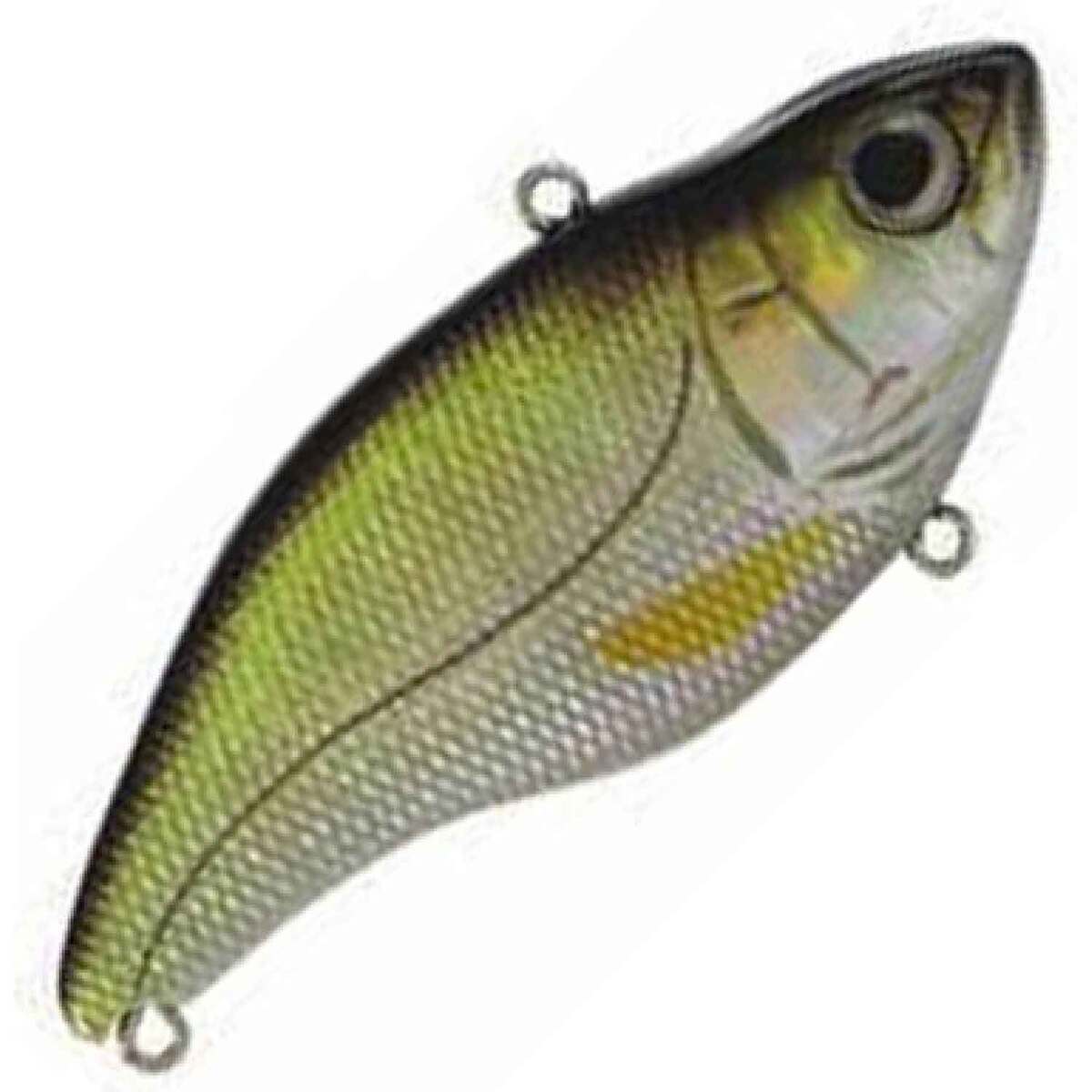 Spro Aruka Shad Lipless Crankbait Spro Aruka Shad Lipless Crankbait