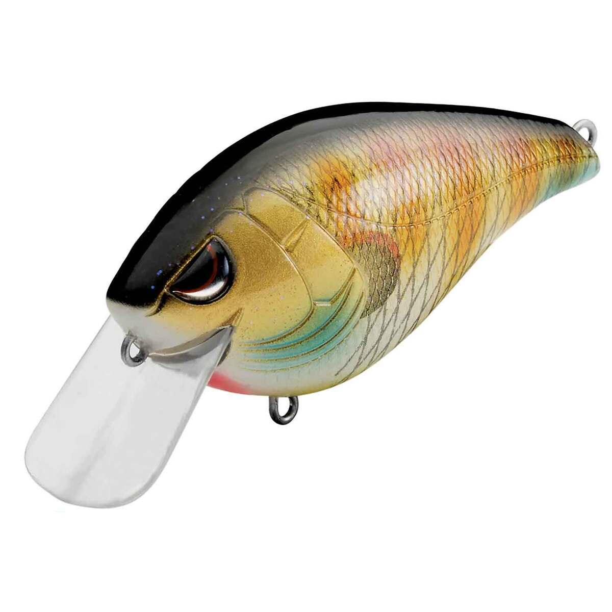 SPRO Hunter 65 SB Medium Diving Crankbait SPRO Hunter 65 SB Medium Diving Crankbait