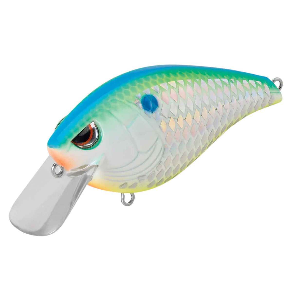 SPRO Hunter 65 SB Medium Diving Crankbait SPRO Hunter 65 SB Medium Diving Crankbait