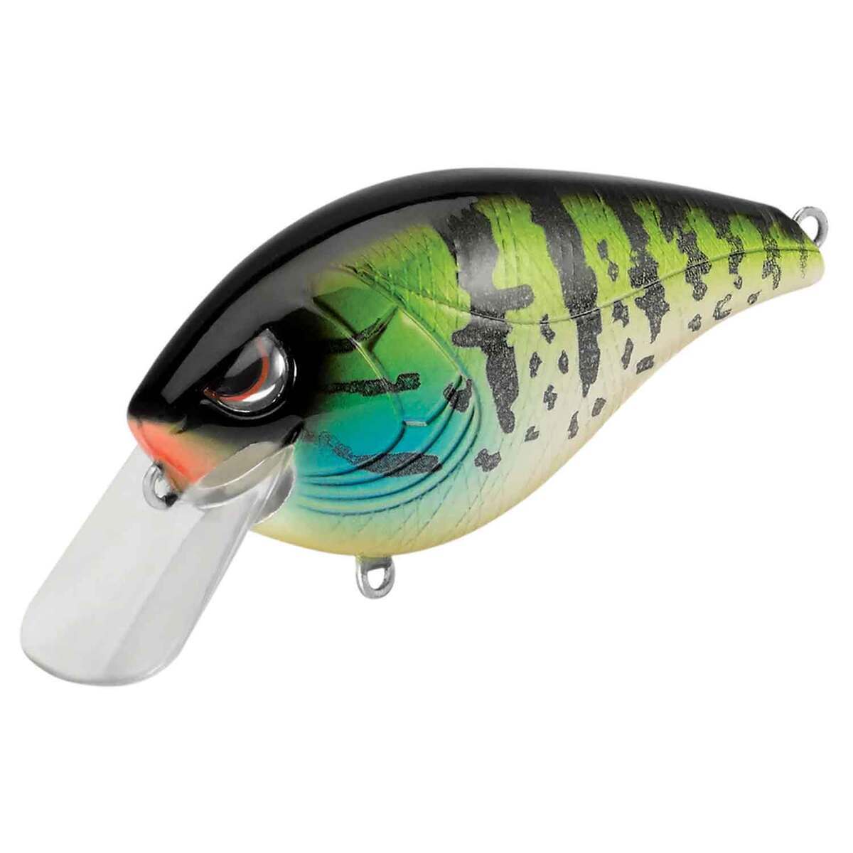 SPRO Hunter 65 SB Medium Diving Crankbait SPRO Hunter 65 SB Medium Diving Crankbait