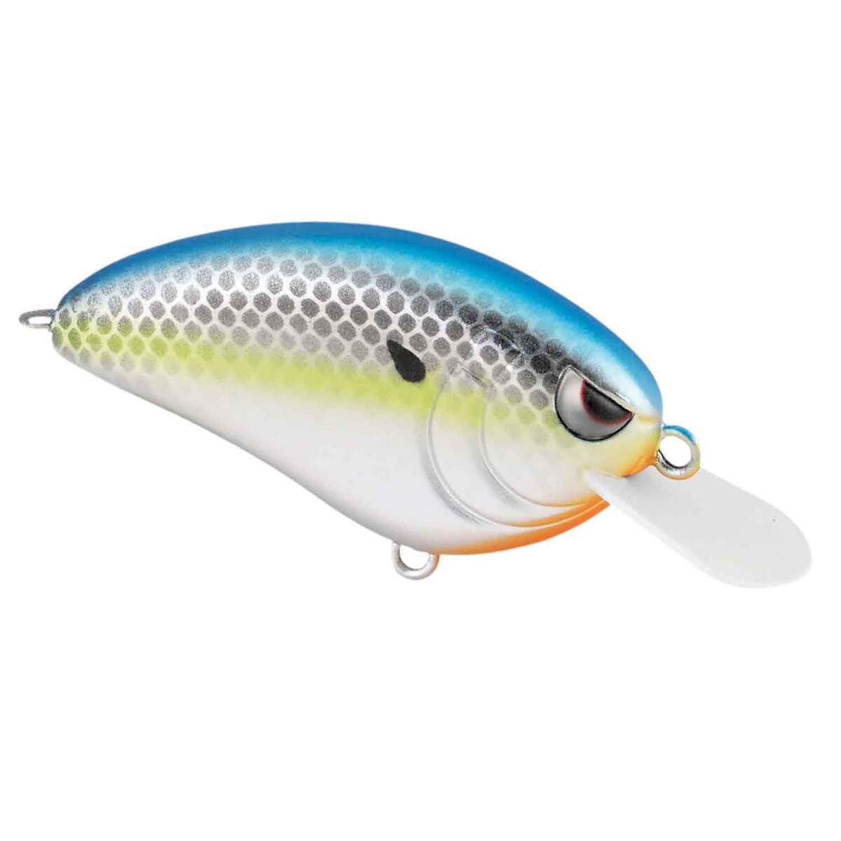 SPRO Little John 50 Shallow Diving Crankbait SPRO Little John 50 Shallow Diving Crankbait