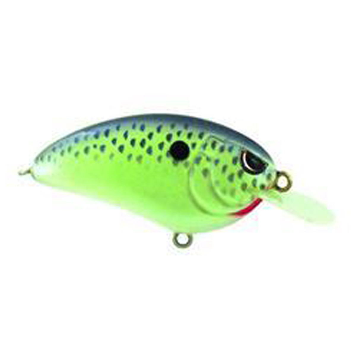 SPRO Little John 50 Shallow Diving Crankbait SPRO Little John 50 Shallow Diving Crankbait