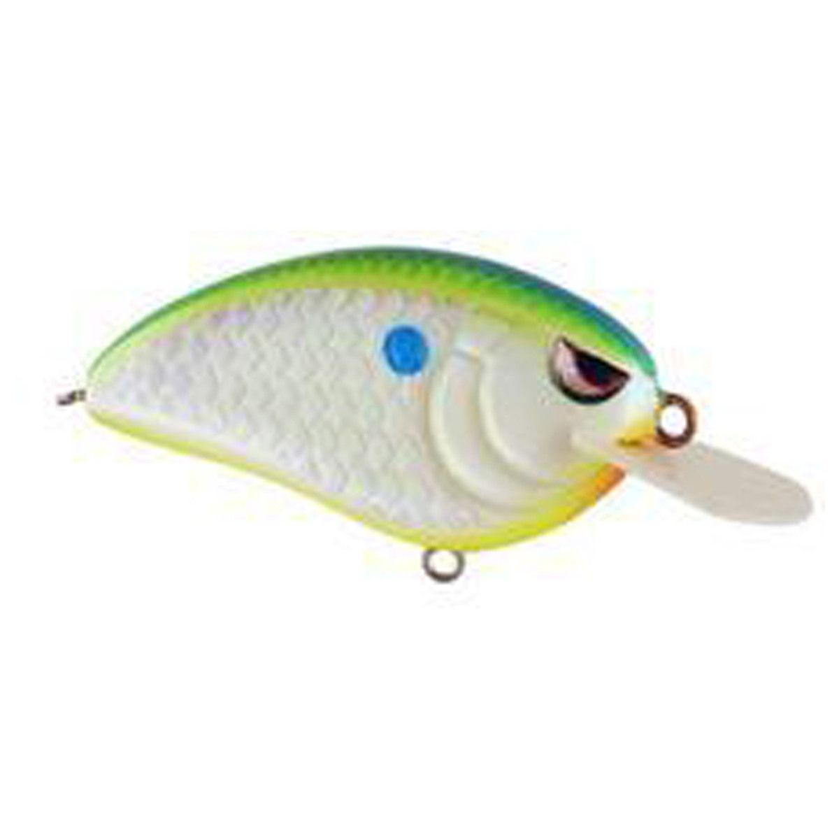 SPRO Little John 50 Shallow Diving Crankbait SPRO Little John 50 Shallow Diving Crankbait