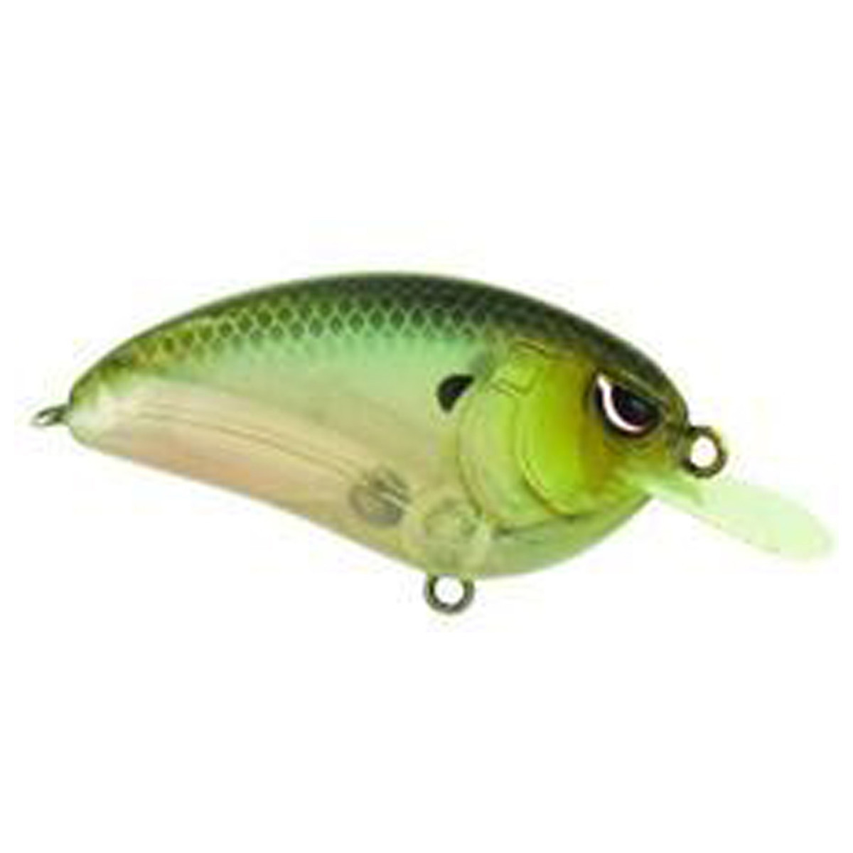 SPRO Little John 50 Shallow Diving Crankbait SPRO Little John 50 Shallow Diving Crankbait