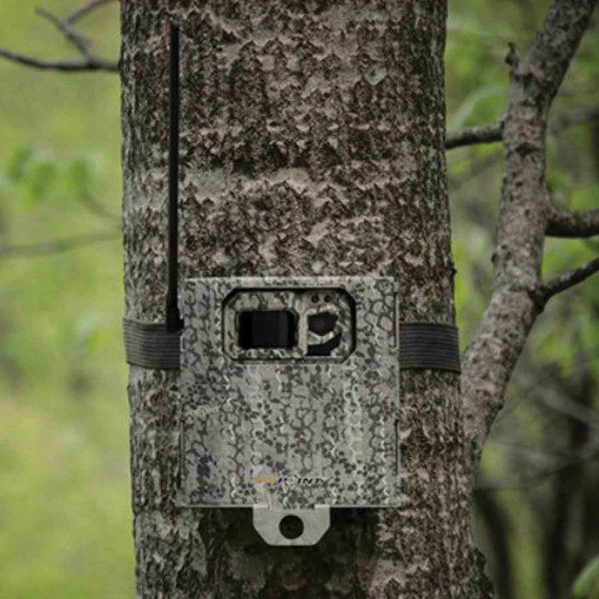 Spypoint Link-Micro Trail Camera Security Box - Camo - Camouflage Spypoint Link-Micro Trail Camera Security Box - Camo - Camouflage