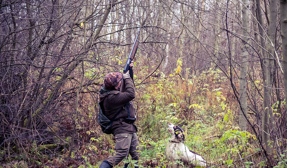 hunter shooting into trees