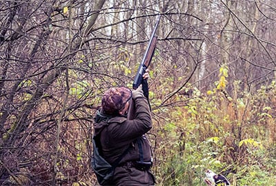 hunter shooting into trees