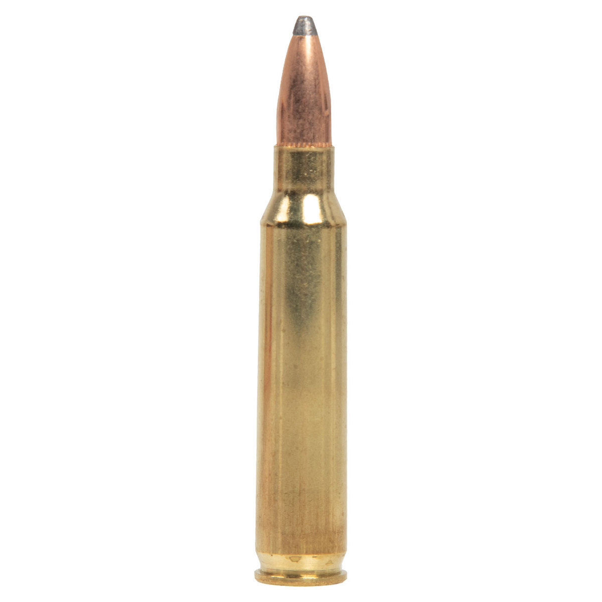 SSA 5 56mm NATO 63gr SP Rifle Ammo 20 Rounds Sportsman s Warehouse ssa-5-56mm-nato-63gr-sp-rifle-ammo-20-rounds-sportsman-s-warehouse