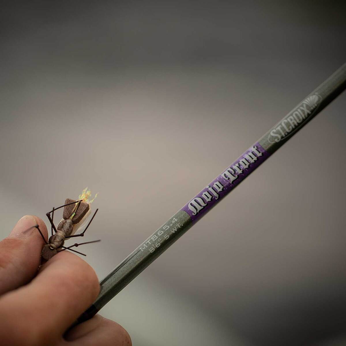 St. Croix Mojo Trout Fly Fishing Rod - 9ft, 5wt, 4pc St. Croix Mojo Trout Fly Fishing Rod - 9ft, 5wt, 4pc