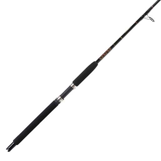 Star Rods Aerial Boat Saltwater Spinning Rod