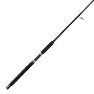 Star Rods Aerial Boat Saltwater Spinning Rod