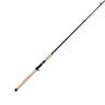 Star Rods Aerial Inshore Saltwater Casting Rod