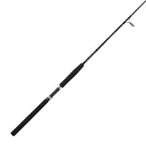 Star Rods Aerial Jetty Saltwater Spinning Rod by Sportsman's Warehouse