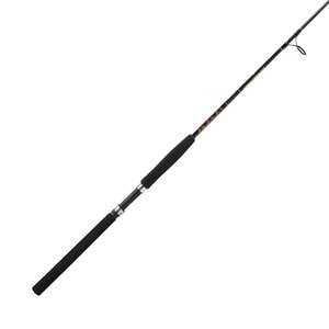 Star Rods Aerial Jetty/Surf Saltwater Spinning Rod