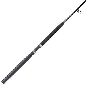 Star Rods Aerial Stand-Up Saltwater Spinning Rod
