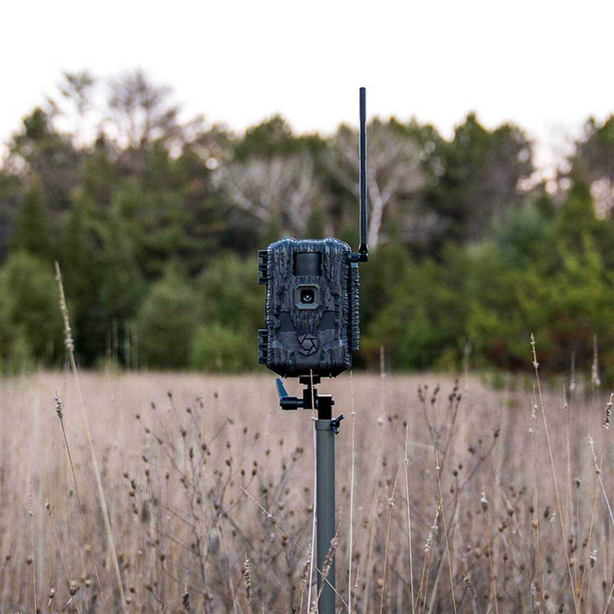 Stealth Speed Camera Stealth Cam Fusion Max 2.0 Cellular Trail Camera | Sportsman's Warehouse