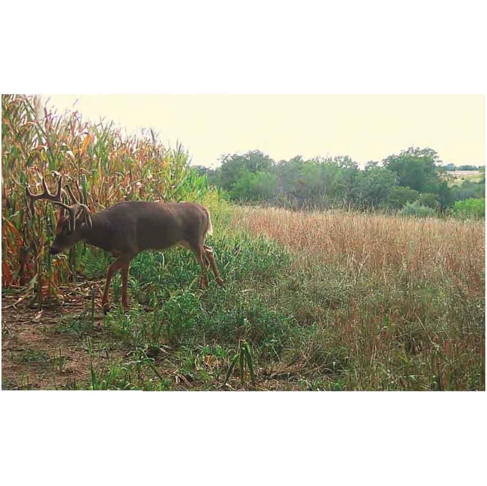 Stealth Cam Prevue 26MP Combo Trail Camera - Camo Stealth Cam Prevue 26MP Combo Trail Camera - Camo