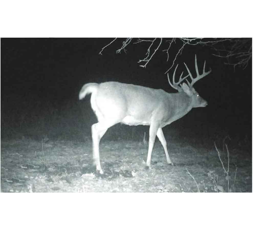 Stealth Cam Prevue 26MP Combo Trail Camera - Camo Stealth Cam Prevue 26MP Combo Trail Camera - Camo
