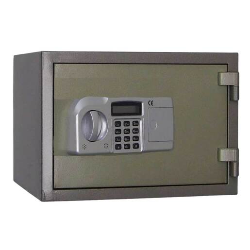 Steelwater SWBS-310T-EL Home Safe – Metallic Multicolor – Metallic Multicolor