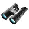 Steiner BluHorizons Compact Binocular - 10x42 - Black