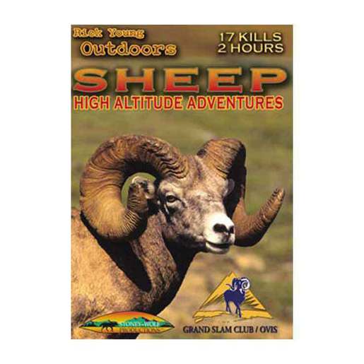StoneyWolf Sheep High Altitude Adventures