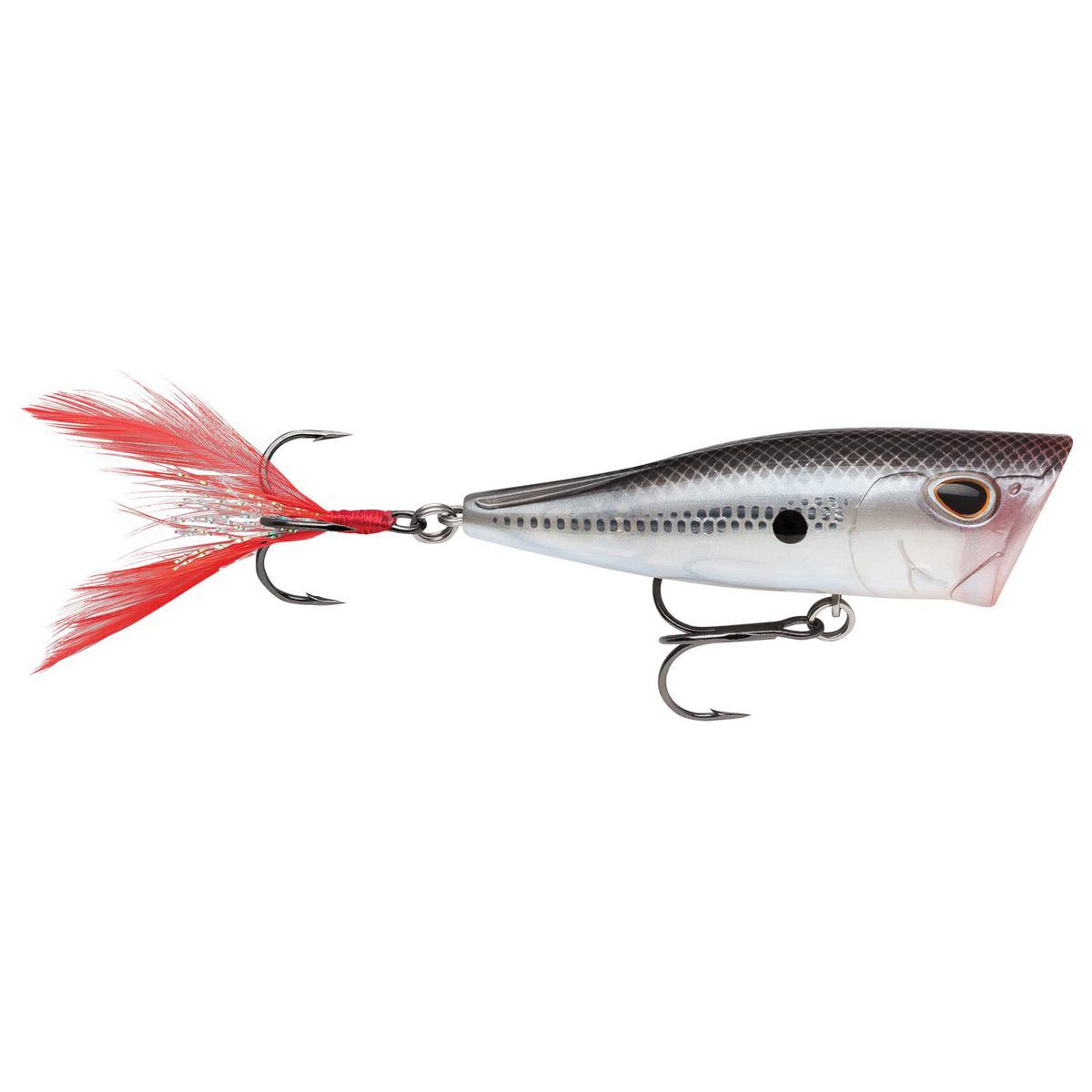 Storm Arashi Pop Topwater Hard Bait Storm Arashi Pop Topwater Hard Bait