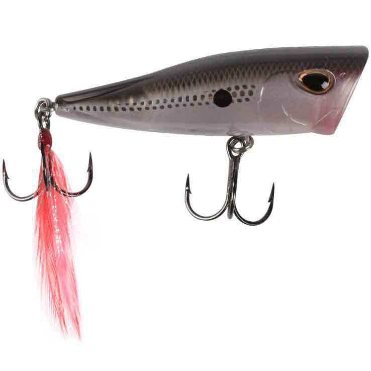 Storm Arashi Pop Topwater Hard Bait Storm Arashi Pop Topwater Hard Bait