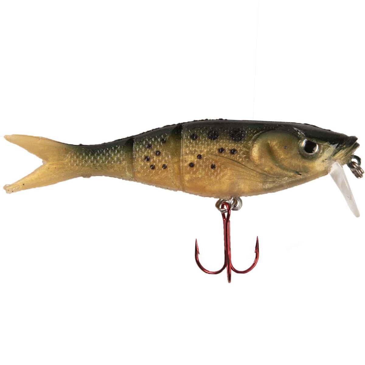 Storm Kickin Minnow Storm Kickin Minnow